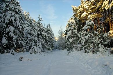 《极道车魂3》“最终版”MOD发布 提供全面优化