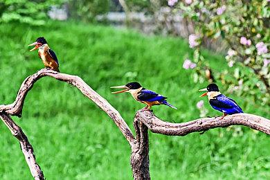 你可以给游戏库分类了！Epic加入过滤器功能