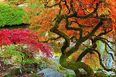 《都市：天际线2》迎来全新创作者包，为城市注入现代风情